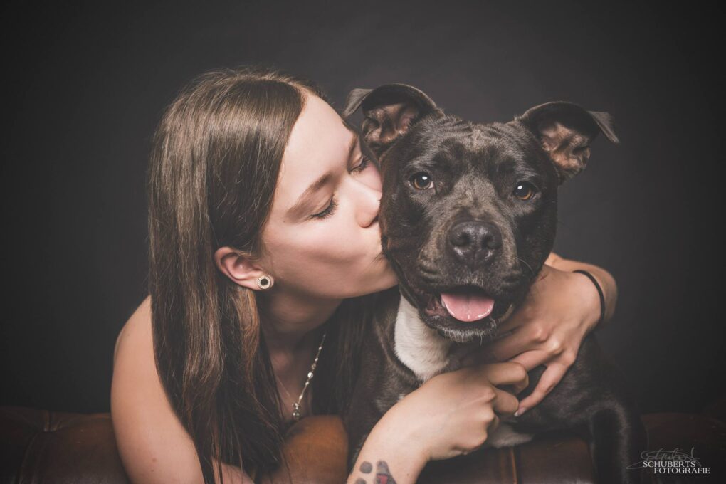 Hund-und-Mensch-Fotoshooting – Unvergessliche Momente